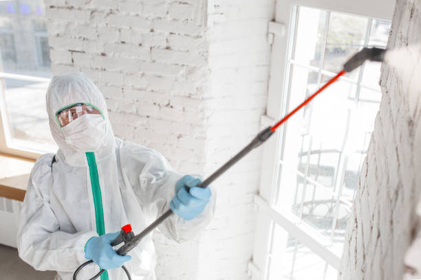 Best Dehumidification Services  in Summit Park, UT