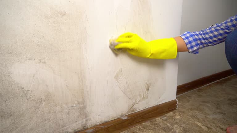 Best Air Quality Testing for Mold Spores  in Summit Park, UT